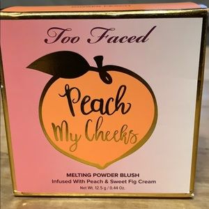 New melting power blush- too faced